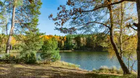 Magia mazurskiej jesieni nad jeziorem Wesołek, listopad 2023 r. - zdjęcie 1