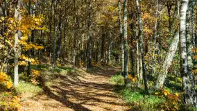 Magia mazurskiej jesieni nad jeziorem Wesołek, listopad 2023 r. - zdjęcie 10