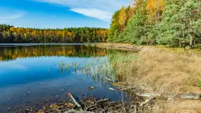 Magia mazurskiej jesieni nad jeziorem Wesołek, listopad 2023 r. - zdjęcie 13