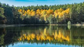 Magia mazurskiej jesieni nad jeziorem Wesołek, listopad 2023 r. - zdjęcie 43