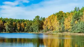 Magia mazurskiej jesieni nad jeziorem Wesołek, listopad 2023 r. - zdjęcie 40