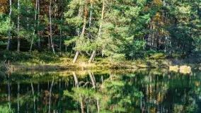 Magia mazurskiej jesieni nad jeziorem Wesołek, listopad 2023 r. - zdjęcie 48