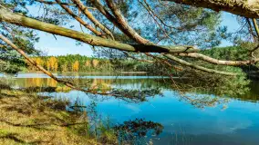 Magia mazurskiej jesieni nad jeziorem Wesołek, listopad 2023 r. - zdjęcie 38