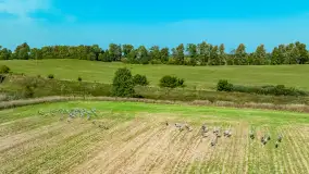 Żurawi sejmik na początku września przy jeziorze Tajty - zdjęcie 13