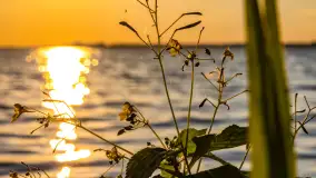 Wrześniowy zachód słońca nad jeziorem Dargin - zdjęcie 10