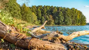 Wrześniowy zachód słońca nad jeziorem Dargin - zdjęcie 11