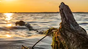 Wrześniowy zachód słońca nad jeziorem Dargin - zdjęcie 2