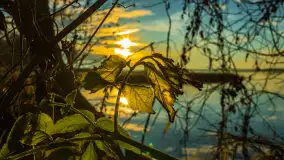 Wschód słońca nad jeziorem Dobskim, listopad 2023 r. - zdjęcie 20