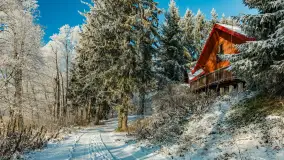 Zima w porcie Łabędzi Ostrów w Pięknej Górze, listopada 2023 r. - zdjęcie 12