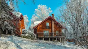 Zima w porcie Łabędzi Ostrów w Pięknej Górze, listopada 2023 r. - zdjęcie 14