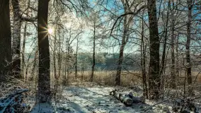 Zima w porcie Łabędzi Ostrów w Pięknej Górze, listopada 2023 r. - zdjęcie 8