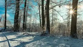 Zima w porcie Łabędzi Ostrów w Pięknej Górze, listopada 2023 r. - zdjęcie 32