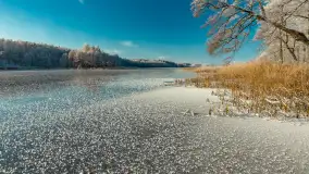 Zima w porcie Łabędzi Ostrów w Pięknej Górze, listopada 2023 r. - zdjęcie 27