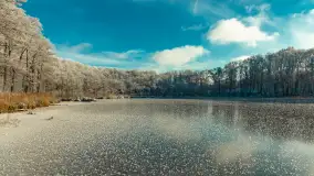 Zima w porcie Łabędzi Ostrów w Pięknej Górze, listopada 2023 r. - zdjęcie 16