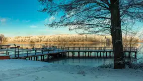 Zima w porcie Łabędzi Ostrów w Pięknej Górze, listopada 2023 r. - zdjęcie 46