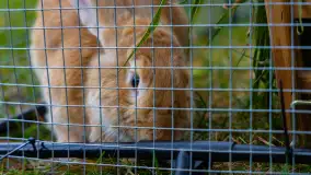 Fotorelacja ze Święta Ziemniaka w Mazurskim raju, październik 2023 r. - zdjęcie 25