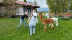 Fotorelacja ze Święta Ziemniaka w Mazurskim raju, październik 2023 r. - zdjęcie 2