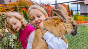 Fotorelacja ze Święta Ziemniaka w Mazurskim raju, październik 2023 r. - zdjęcie 27