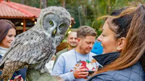 Fotorelacja ze Święta Ziemniaka w Mazurskim raju, październik 2023 r. - zdjęcie 30