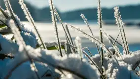 Port w Sztynorcie w zimowej odsłonie pod koniec listopada 2023 r. - zdjęcie 10