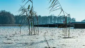 Port w Sztynorcie w zimowej odsłonie pod koniec listopada 2023 r. - zdjęcie 46