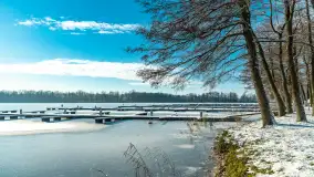 Port w Sztynorcie w zimowej odsłonie pod koniec listopada 2023 r. - zdjęcie 23