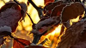 Zimowy zachód słońca nad jeziorem Mój, listopad 2023 r. - zdjęcie 21