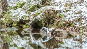 Zwalony most w Kruklankach w zimowej scenerii... bez słońca, listopad 2023 r. - zdjęcie 21