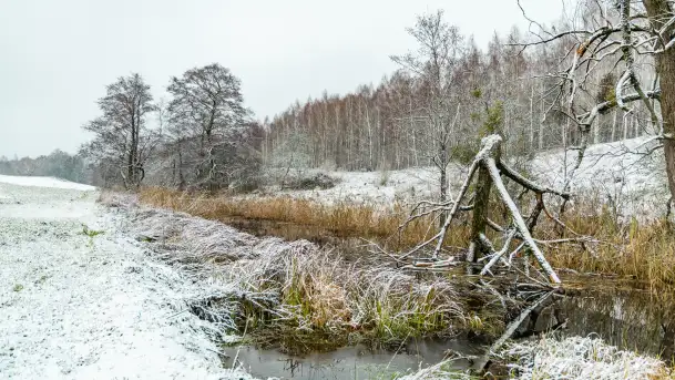 Zwalony most w Kruklankach w zimowej scenerii... bez słońca, listopad 2023 r. - zdjęcie 10