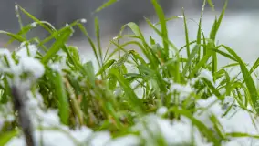 Zwalony most w Kruklankach w zimowej scenerii... bez słońca, listopad 2023 r. - zdjęcie 29