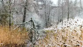 Zwalony most w Kruklankach w zimowej scenerii... bez słońca, listopad 2023 r. - zdjęcie 13