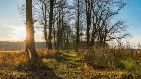 Jesienny biwak ekipy Mazury24 nad Darginem, listopad 2023 r. - zdjęcie 20