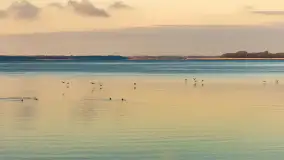 Jesienny biwak ekipy Mazury24 nad Darginem, listopad 2023 r. - zdjęcie 24