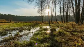 Jesienny biwak ekipy Mazury24 nad Darginem, listopad 2023 r. - zdjęcie 39