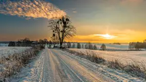 Wschód słońca w okolicach wsi Podlasie, grudzień 2023 r. - zdjęcie 3