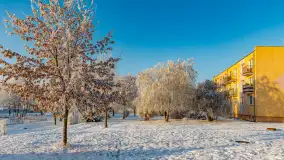 Zimowy poranek w okolicach Wopławek k/Kętrzyna - zdjęcie 12