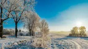 Zimowy poranek w okolicach Wopławek k/Kętrzyna - zdjęcie 1