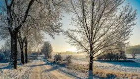 Zimowy poranek w okolicach Wopławek k/Kętrzyna - zdjęcie 5
