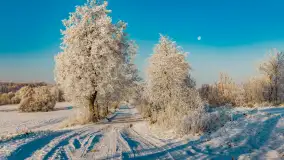 Zimowy poranek w okolicach Wopławek k/Kętrzyna - zdjęcie 25