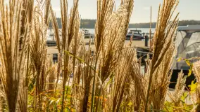 Jesień w Mazurskim Raju nad jeziorem Bełdany, listopad 2023 r. - zdjęcie 6