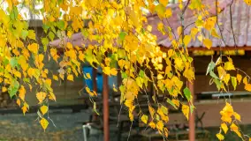 Jesień w Mazurskim Raju nad jeziorem Bełdany, listopad 2023 r. - zdjęcie 16