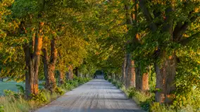 Mazury 2023, na różnych zdjęciach z szuflady - zdjęcie 6