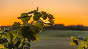 Mazury 2023, na różnych zdjęciach z szuflady - zdjęcie 15