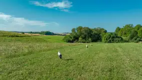 Zwierzęta i ptaki na zdjęciach z szuflady, 2023 rok - zdjęcie 13