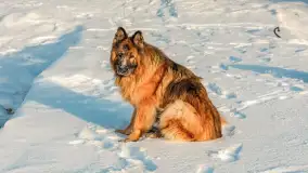 Uroki zimy nad jeziorem Dargin w porcie Dziki Harsz - zdjęcie 40