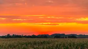 Zachód słońca na wschodnich obrzeżach Kętrzyna, sierpień 2023 r. - zdjęcie 28