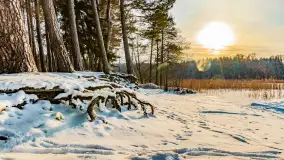 Zimowy spacer nad jeziorem Gołdopiwo niedaleko Żabinki, styczeń 2024 r. - zdjęcie 14