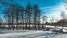 Zima nad jeziorem Dziewiszewskie w Dziewiszowie, styczeń 2024 r. - zdjęcie 3