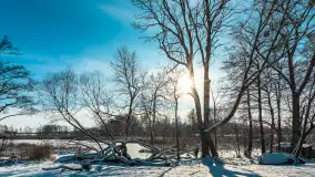 Zima nad jeziorem Dziewiszewskie w Dziewiszowie, styczeń 2024 r. - zdjęcie 7