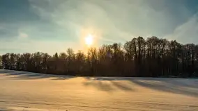 Zima nad jeziorem Dziewiszewskie w Dziewiszowie, styczeń 2024 r. - zdjęcie 39